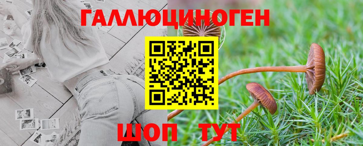 Знаменск  Псилоцибиновые грибы MAGIC MUSHROOMS  Вход с VPN  Псилоцибиновые грибы мицелий 